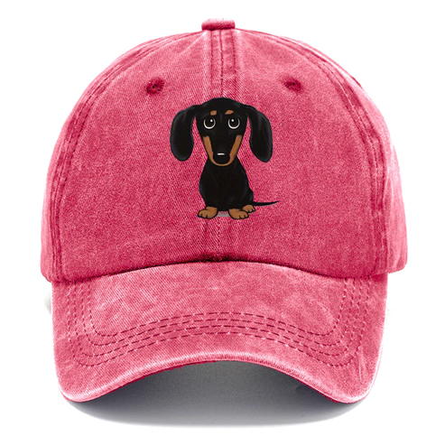 Hummingbird Haven Classic Cap