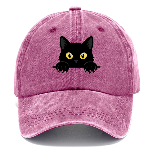 Hummingbird Haven Classic Cap