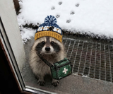 Baa-ble-Outbreak Night Sheep Fair Isle Pom-Pom Beanie
