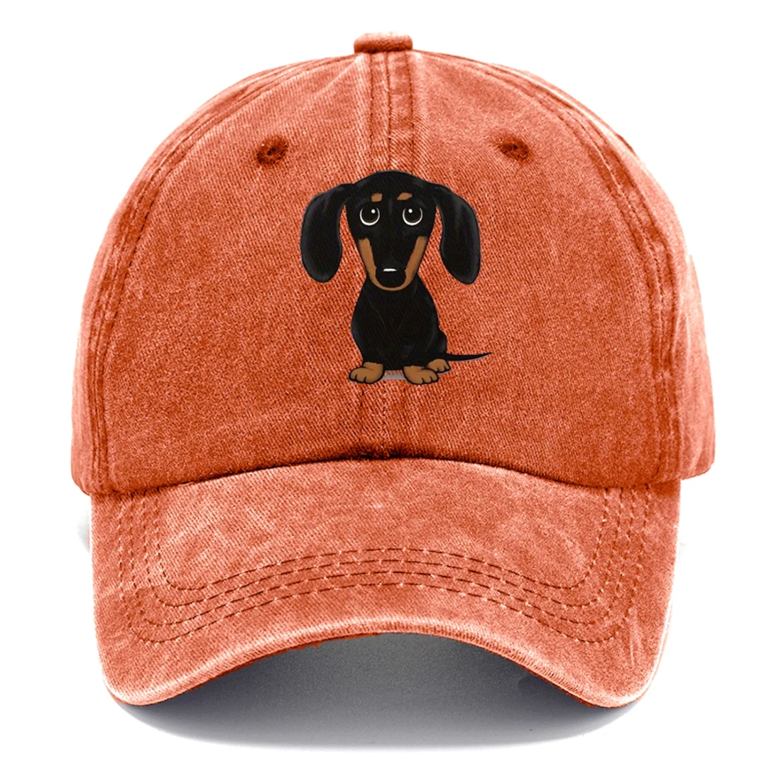 Hummingbird Haven Classic Cap