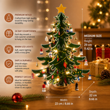 🎄 24-Day Mini Christmas Tree Advent Calendar