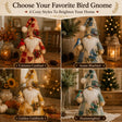 🐦 Patchwork Bird Gnome Light | Farmhouse Holiday Decor